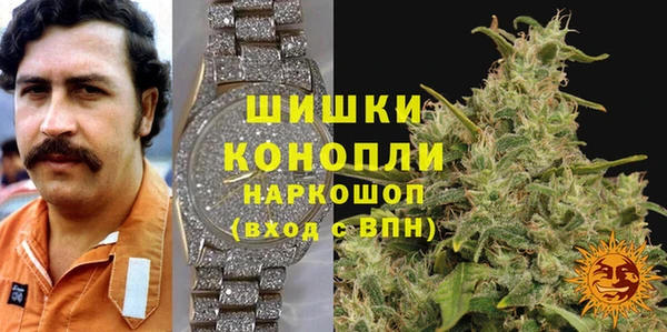 сатива Зеленокумск