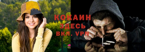прущие грибы Зерноград