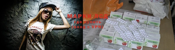 прущие грибы Зерноград