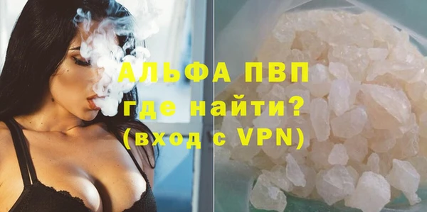 сатива Зеленокумск