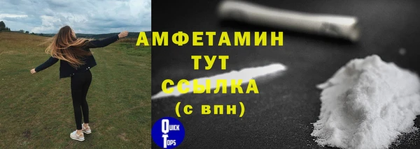 сатива Зеленокумск