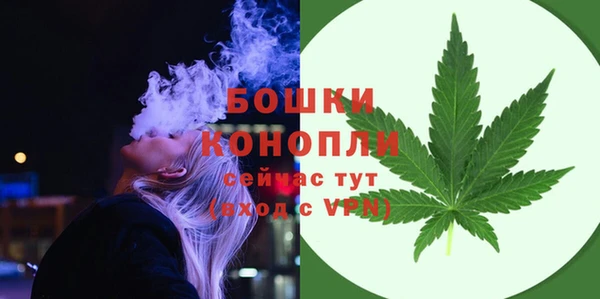 сатива Зеленокумск