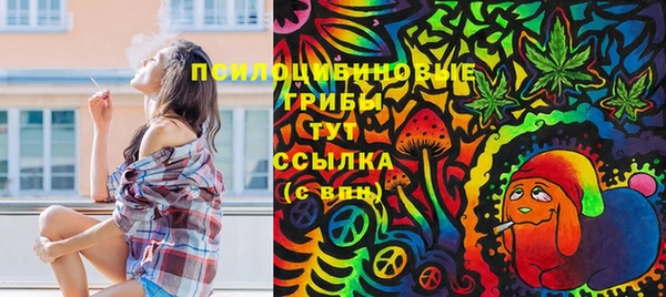 сатива Зеленокумск