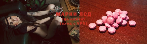 сатива Зеленокумск