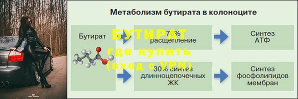 сатива Зеленокумск
