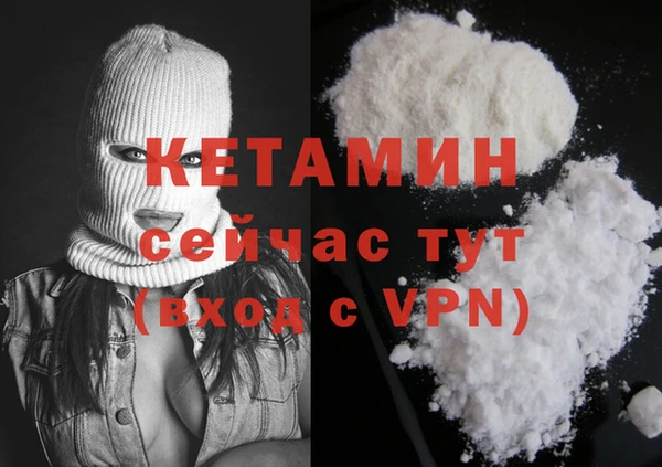 сатива Зеленокумск