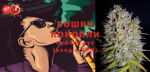 прущие грибы Зеленодольск