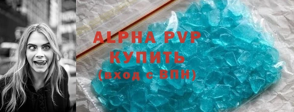 прущие грибы Зерноград