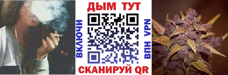 Купить  Дмитров  Бошки Шишки White Widow 